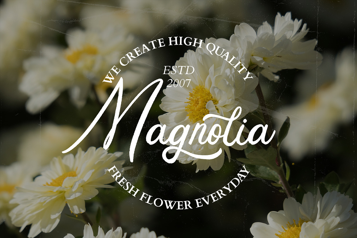 Lugston – Vintage Script Font, a Script Font by Arendxstudio (Photo 6 of 8)