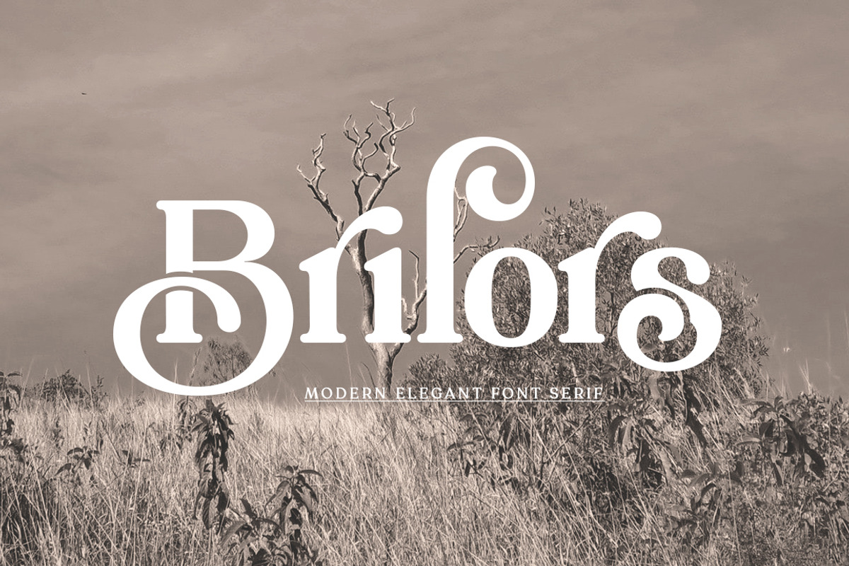 Brilors Serif, a Serif Font by Zane Studio (Photo 1 of 8)