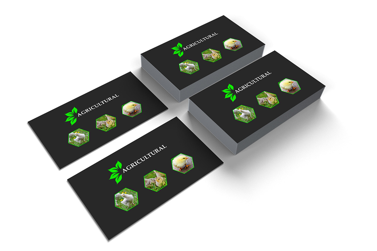 Agriculture Business Card, a Business Card Template by UI_Expert (Photo 3 of 5)