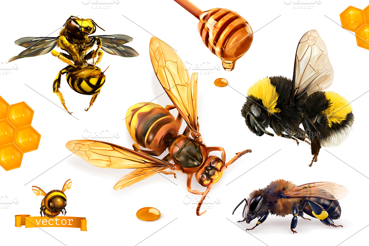 Bee, hornet and wasp. Honey drops, an Icon by Allevinatis Studio (Photo 1 of 6)