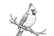 Elegant Bird Illustration, an Empty State Illustration by CarWrap design (Thumbnail 2 of 4)