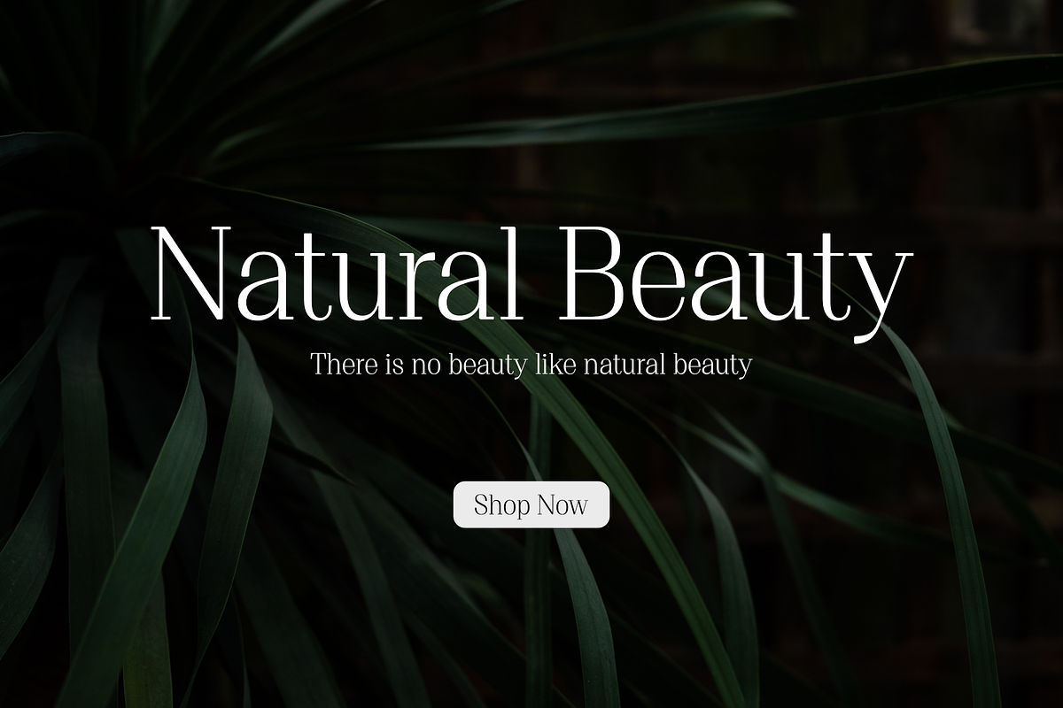 Proto Serif Regular, a Serif Font by Bukva™ Type Foundry (Photo 10 of 13)