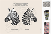 African zebras clipart, Safari Jungl, an Illustration by Siriliadka Dreams (Thumbnail 6 of 6)