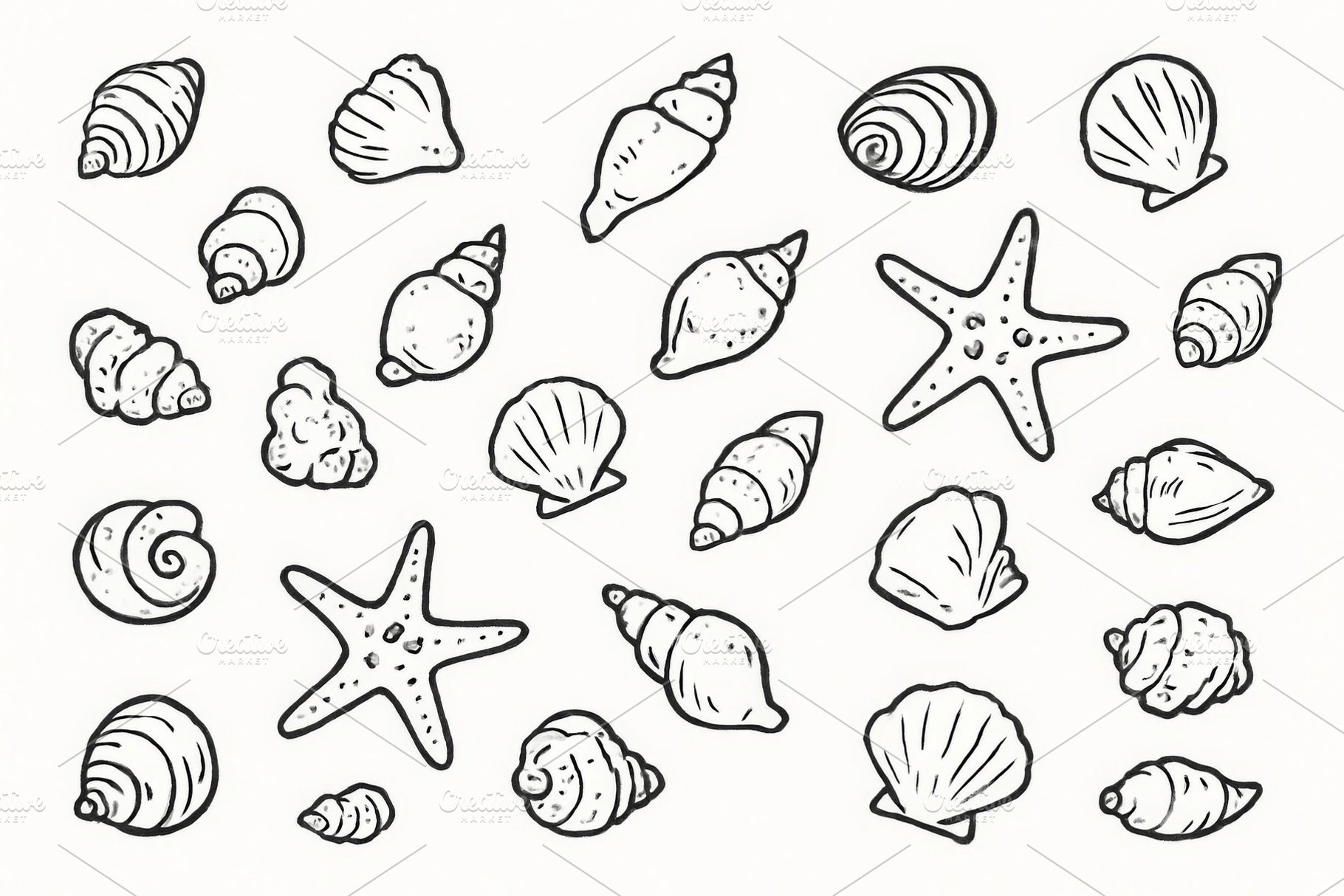 Marine life seashells and starfish b, a Photo by Dvoevnore photos