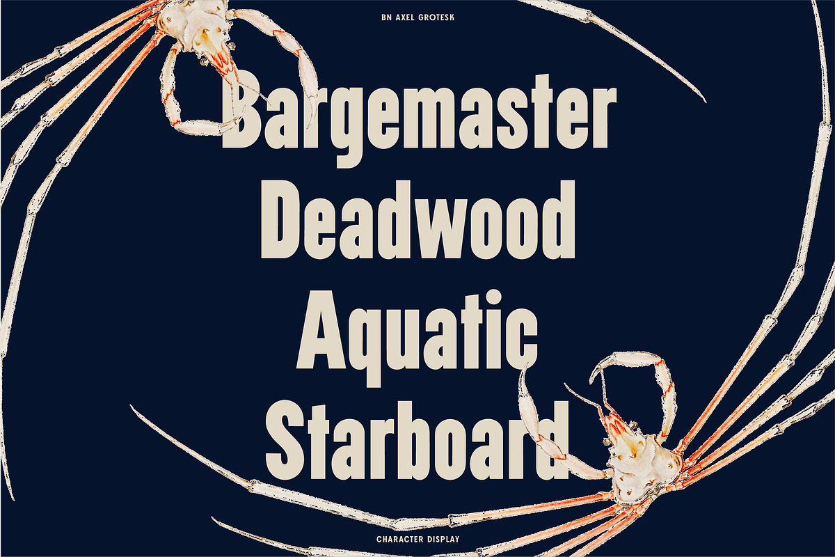 Nautic Grotesk - Modern Display Font, a Sans Serif Font by Bnick (Photo 2 of 12)
