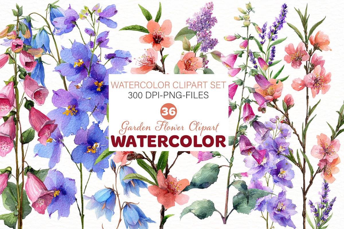 Watercolor Garden flower Clipart, an Illustration by Designworld (Photo 1 of 4)