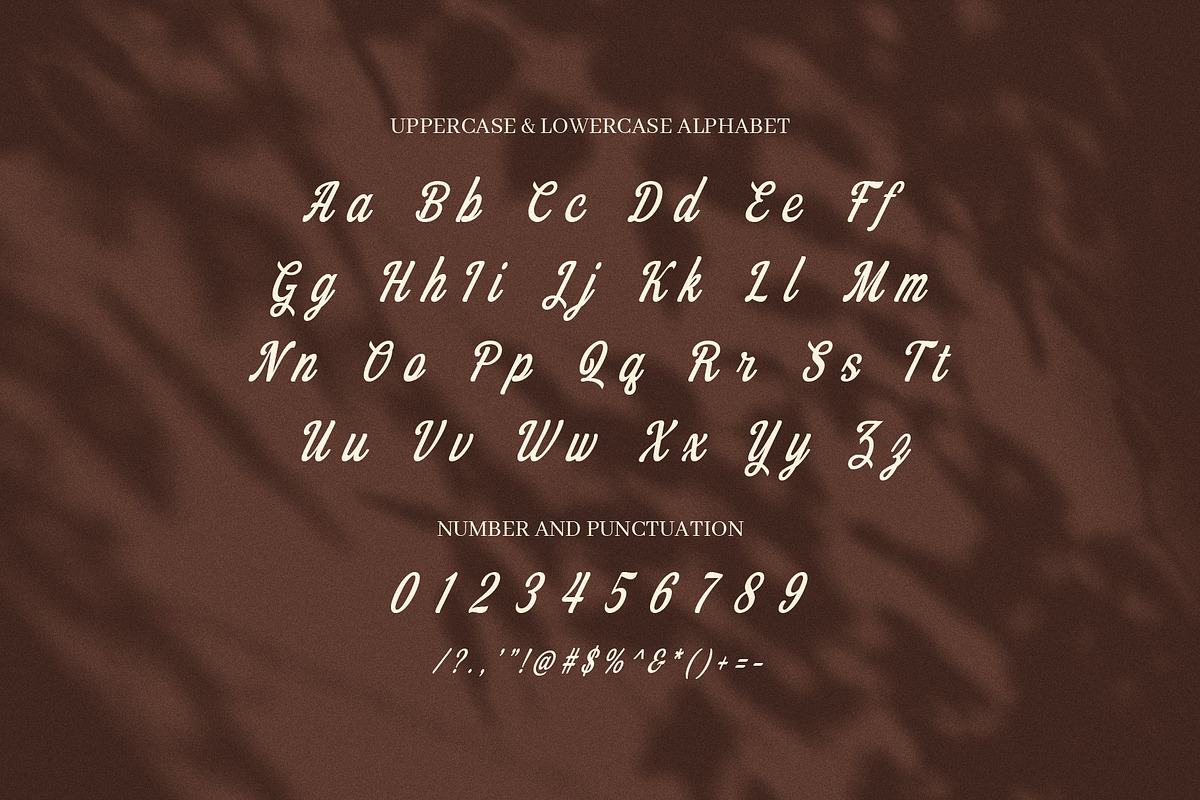 Molyna Modern Script Font, a Script Font by Elegant Font (Photo 8 of 8)