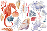 Seashells and fish, watercolor, an Animal Illustration by Hanna Hryharenka (Thumbnail 12 of 20)