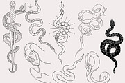 30 Procreate Snake Stamps, a Brush Add-On by Nuclear Brushes (Thumbnail 5 of 10)