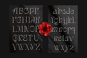 Stager - Unique Classy Serif, a Serif Font by Dharmas Foundry (Thumbnail 13 of 15)