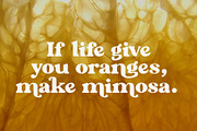 Mimosa - Modern Retro Typeface, a Sans Serif Font by HipFonts (Thumbnail 4 of 7)