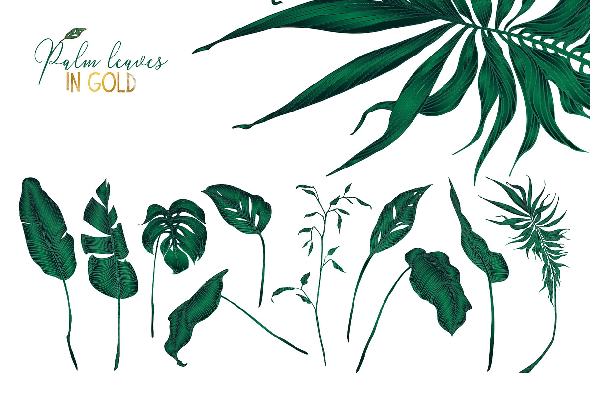 Palm leaves collection in gold, a Texture Illustration by Gluiki (Photo 7 of 11)