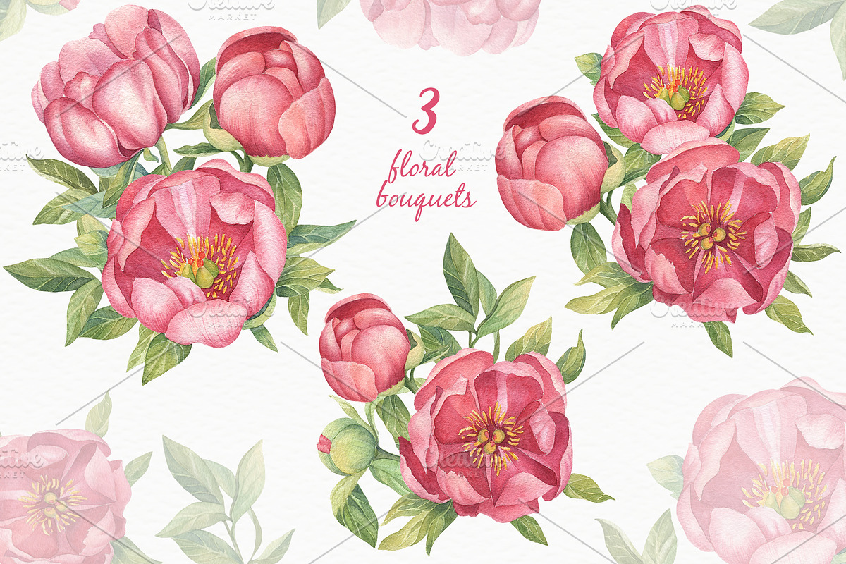 Pink Peonies - Watercolor Set, a Decorative Illustration by Irina Diasli (Photo 4 of 8)