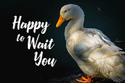 Quacky Font, a Script Font by YandiDesigns (Thumbnail 3 of 3)