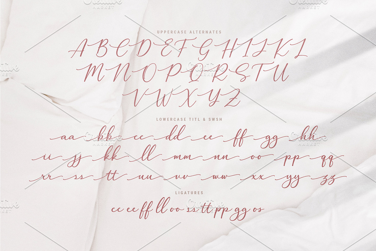 Halegio | Modern Calligraphy Font, a Script Font by Ariya Works (Photo 10 of 11)