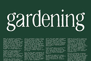 HANNAH & CLAY | handwritten serif, a Serif Font by Loryn Ipsum (Thumbnail 8 of 12)