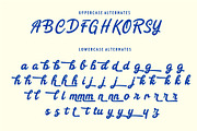 REYAL BEACH | BOLD SCRIPT, a Script Font by Havinkpen (Thumbnail 12 of 14)
