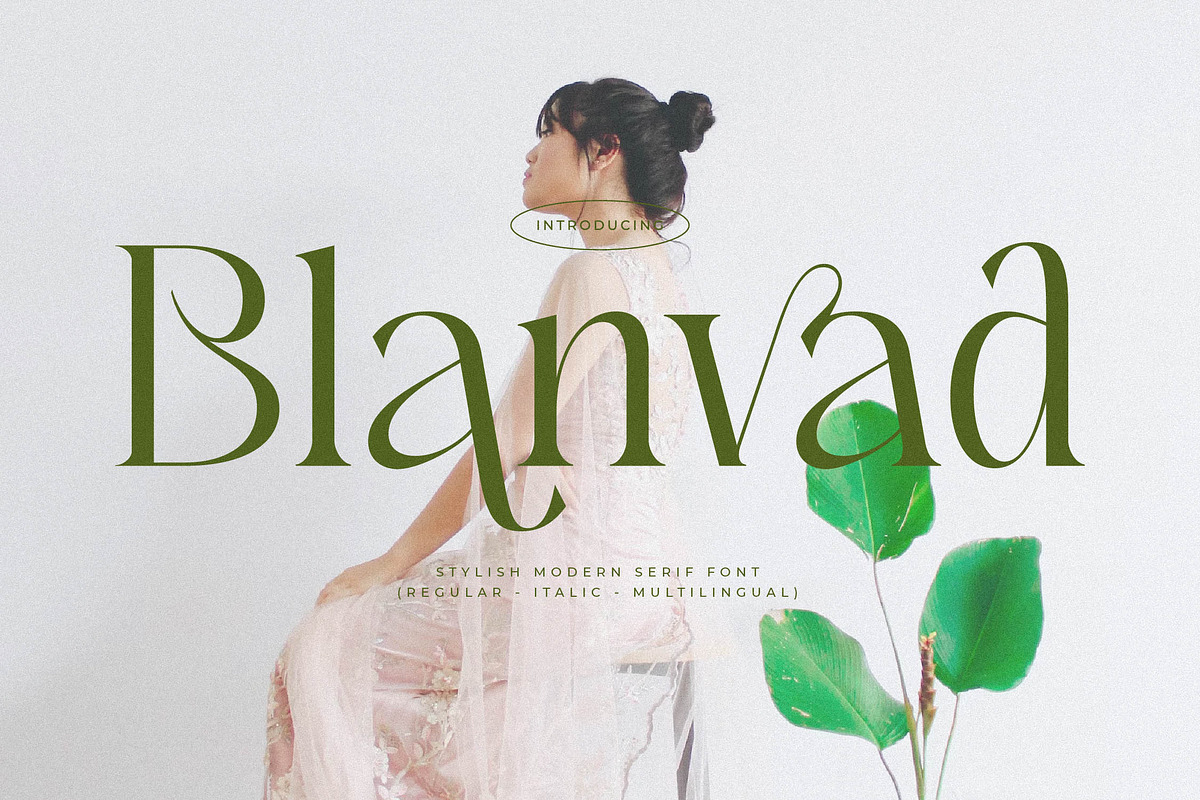 Blanvad Stylish Modern Serif, a Serif Font by Storytype Studio (Photo 1 of 15)