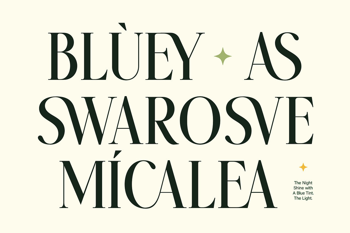 Twoswash - Beauty Elegant Serif, a Serif Font by Typia Nesia (Photo 3 of 11)