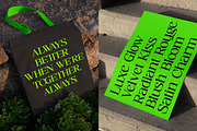 Cerlog  A Modern Serif Display Font, a Font by AmorfaType (Thumbnail 3 of 10)