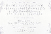 Bianca Kamelo Font, a Script Font by Ivan Rosenberg (Thumbnail 10 of 11)