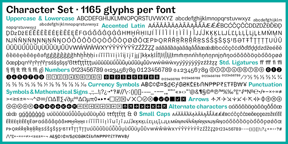 Garino, a Sans Serif Font by Julien Fincker (Photo 10 of 15)