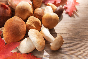 Fresh porcini mushrooms and autumn leaves on wooden background, a Food & Drink Photo by Olena Rudo