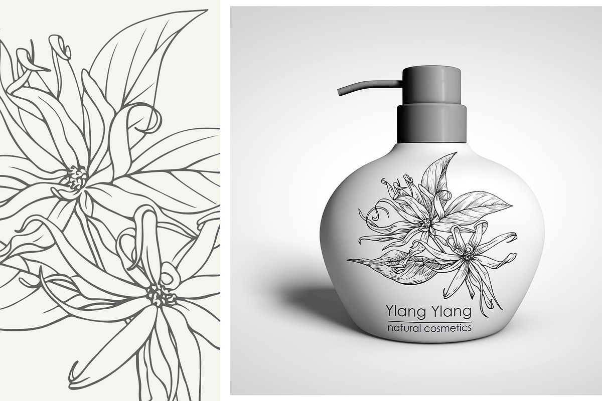 Flowers Ylang Ylang. Botanical set, an Object Graphic by ON_lineart_store (Photo 7 of 8)
