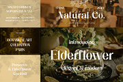 Old Money Aesthetic Font Bundle, a Serif Font by HipFonts (Thumbnail 4 of 10)
