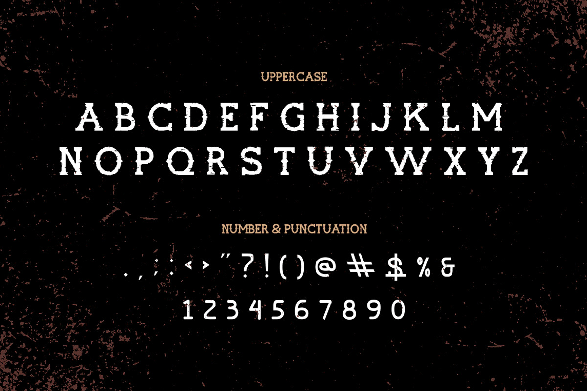 Rockrough Distressed Slab Serif Font, a Slab Serif Font by Vadovastd (Photo 2 of 7)