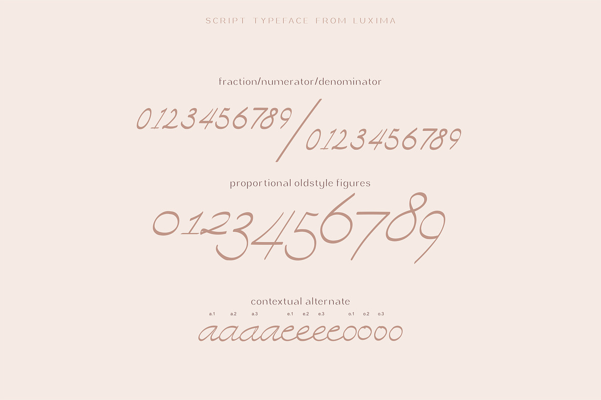 Zhafir Script Font, a Script Font by Luxima (Photo 12 of 13)