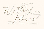 Waltney Flores A Beauty Calligraphy, a Script Font by Storytype Studio (Thumbnail 1 of 15)