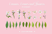 Watercolor Floral Design Set Lemons, an Illustration by Anna Studio (Thumbnail 9 of 11)