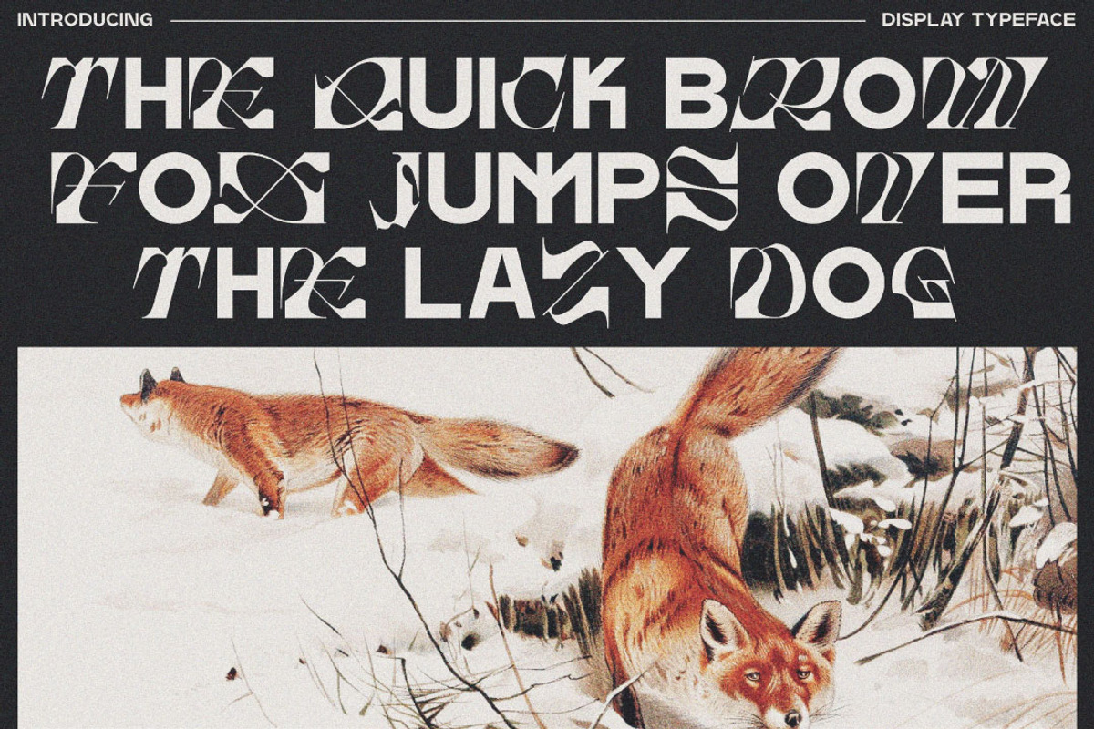 Krone - Mixed Font, a Serif Font by executypeStudio (Photo 4 of 11)