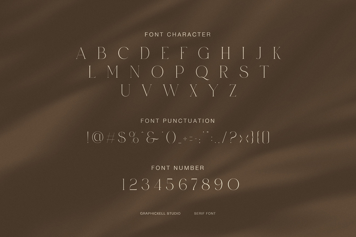 Dasier Elegant Fashion Serif Font, a Serif Font by Graphicxell (Photo 7 of 8)