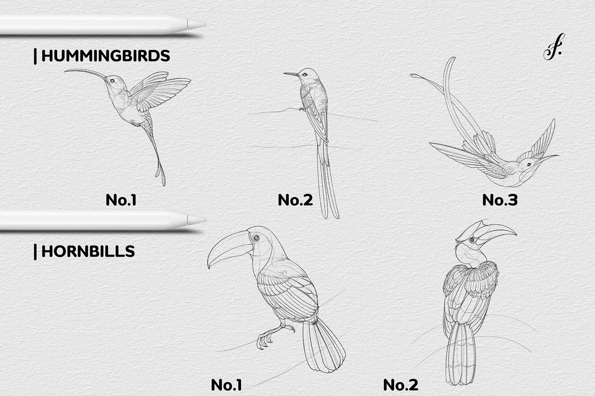 Bird Procreate Brush, a Brush Add-On by Freya.art Illustrations (Photo 7 of 9)