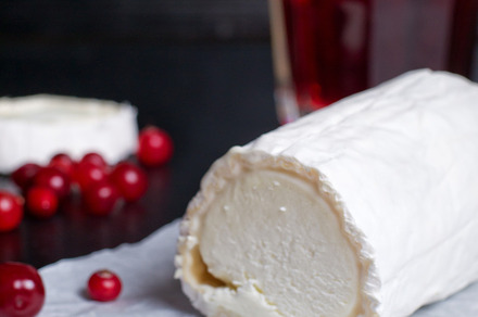 Fresh goat cheese containing closeup, meal, and soft