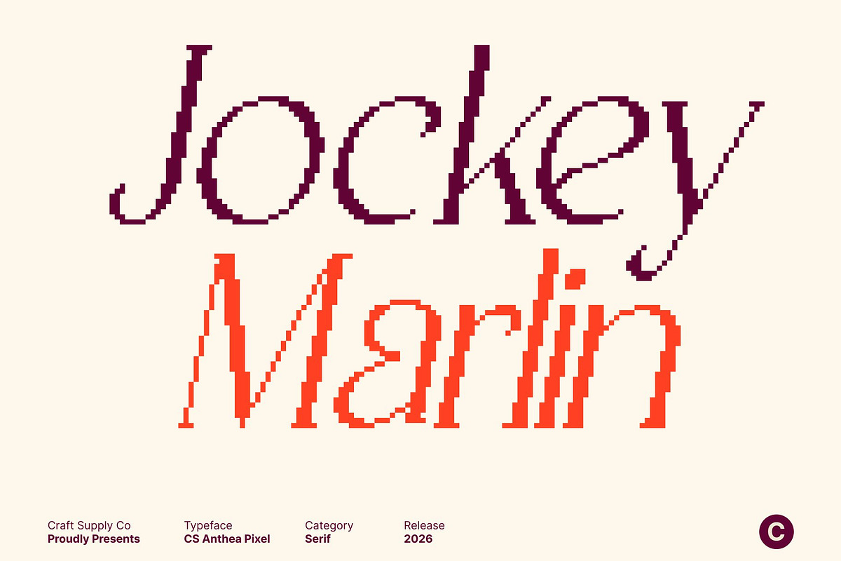 CS Anthea Pixel, a Serif Font by Craft Supply Co. (Photo 4 of 8)