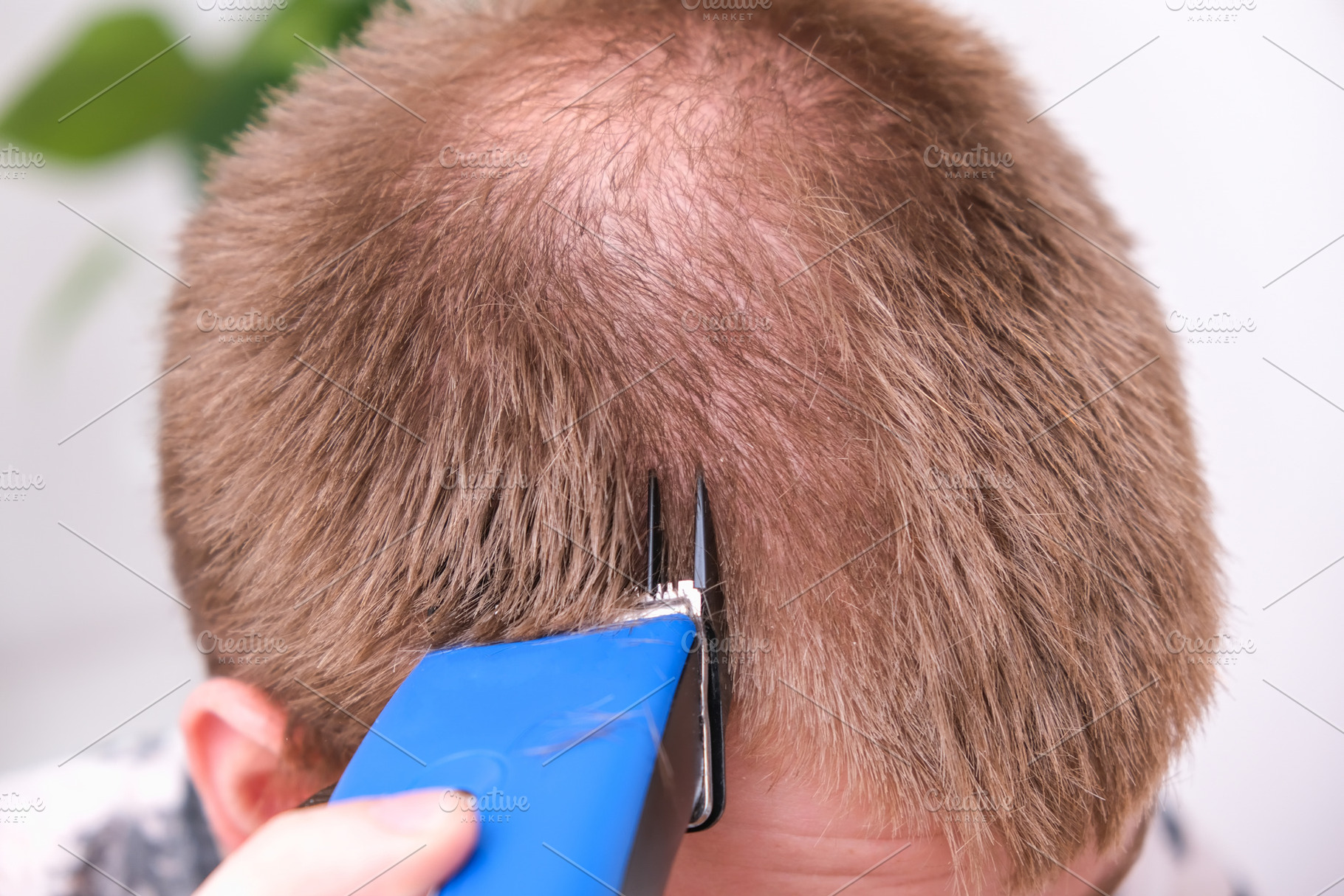 A man cuts his hair with clipper. Cutting a short hairstyle at home. Close-up., a Technology Photo by Detriana