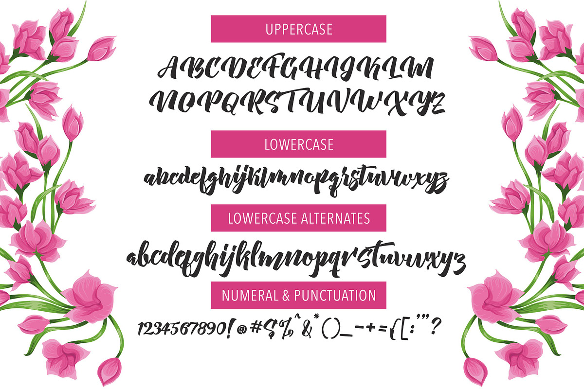 New Aprillia Script preview 5