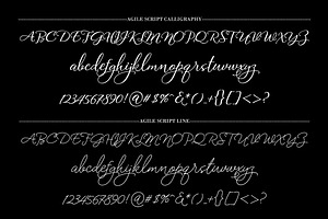 Agile Script Typeface