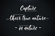 Crushine Brush Script, a Script Font by Siwox Studios (Thumbnail 2 of 10)