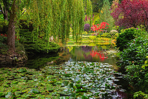 Quiet pond