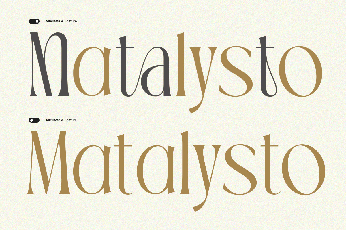 TBJ Palatino Stylish Serif Font, a Serif Font by Taboja Studio (Photo 9 of 10)