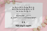 Swett Lathe - Modern Script fonts, a Script Font by Nahar_std (Thumbnail 5 of 6)