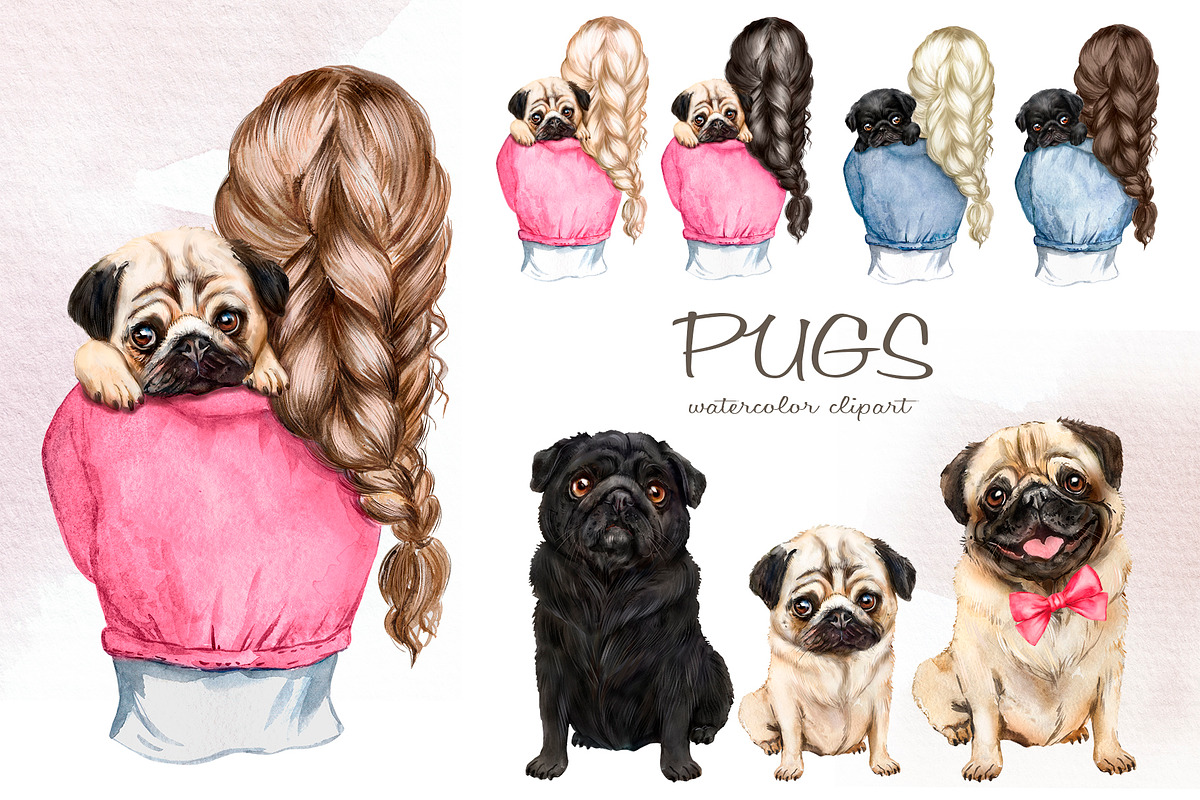 Pugs dogs watercolor clipart., an Animal Illustration by SavinV (Photo 1 of 7)