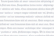 1509 Leyden, a Blackletter Font by GLC Foundry (Thumbnail 2 of 3)