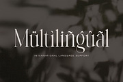 Avelire-modern ligature, a Serif Font by ToniStudio (Thumbnail 10 of 11)