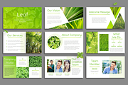 Leaf - Powerpoint Template, a Presentation Template by Helga_Design (Thumbnail 2 of 13)