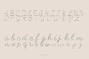 Script plr – Elegant Handcrafted, a Handwritten Font by adenpinkstore (Thumbnail 2 of 4)